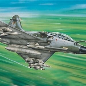 Mirage 2000 D 1/1