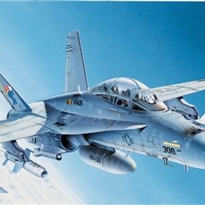 F/A-18 Hornet 1/1